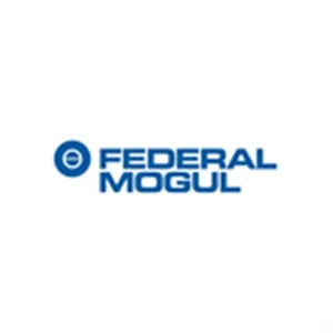 FEDERAL MOGUL logo